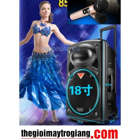 Loa karaoke di động công suất cực lớn N29-700W, Loa vali kéo cao cấp